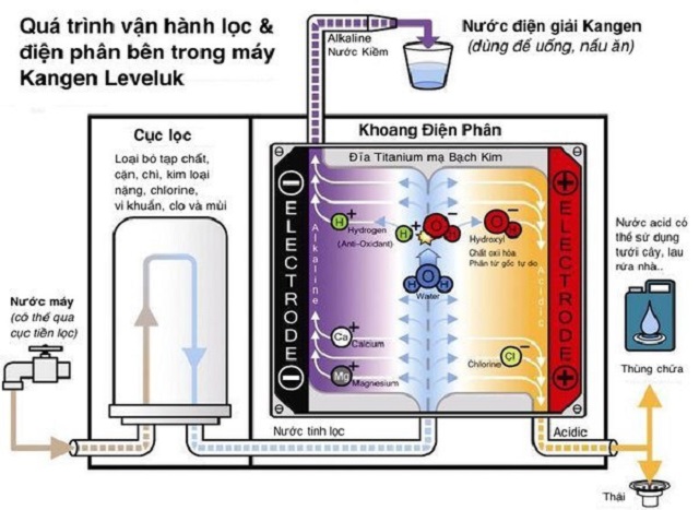 Kangen Leveluk SD501 Platinum sở hữu đến 12 tấm điện cực